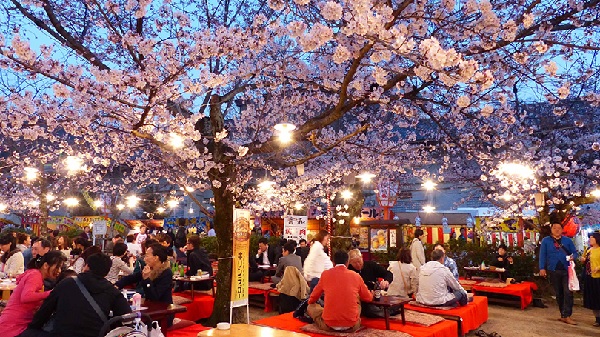 Ngắm hoa sakura Nhật Bản là trải nghiệm ai cũng muốn có một lần trong đời