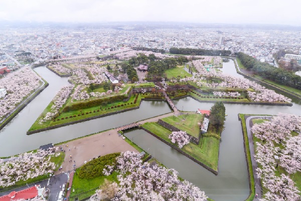 Thiết kế đặc biệt của công viên Goryoukaku (Hokkaido) trở nên cực kì thu hút vào mùa hoa sakura Nhật Bản