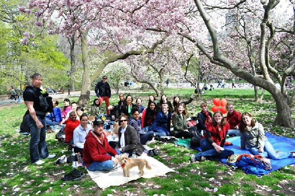 Hãy chú ý chọn trang phục đủ ấm khi tham gia lễ hội ngắm hoa sakura