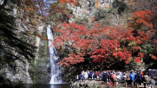 Cảnh quan thiên nhiên tại thác Mino