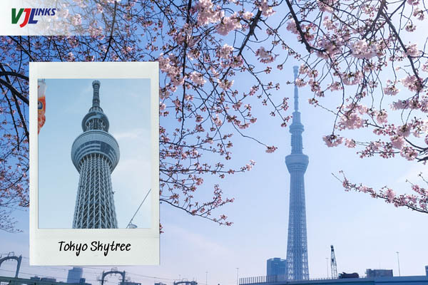 Tokyo Skytree biểu tượng của Tokyo