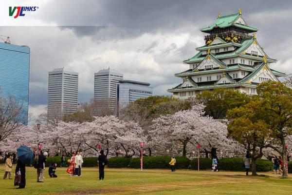 Tham quan lâu đài Osaka vào mùa hoa đào nở