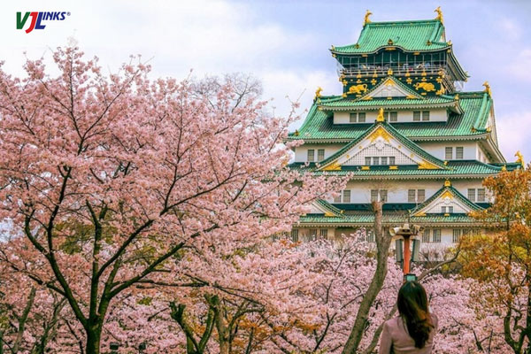 Mùa xuân và mùa thu thời điểm lý tưởng để du lịch tại lâu đài Osaka