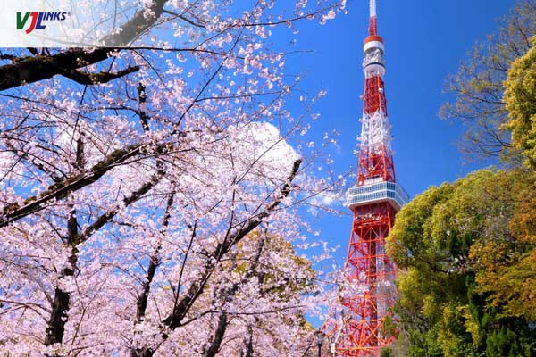 Tokyo điểm đến thu hút du khách tham gia lễ hội hoa anh đào