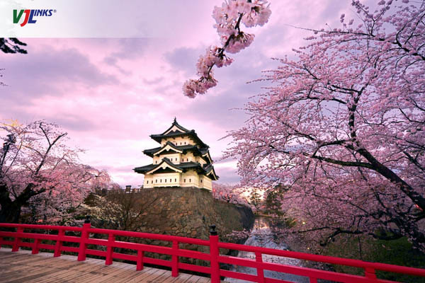 Hoa anh đào được xem là biểu tượng cho mùa xuân ở Nhật Bản