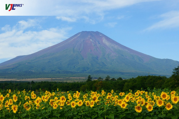 Khám phá núi Phú Sĩ Nhật Bản vào mùa hè rực rỡ sắc màu