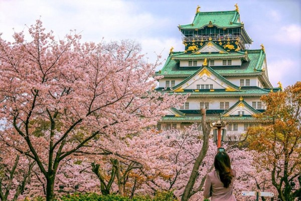 Lâu đài Osaka trong không khí mùa xuân đầy lãng mạn