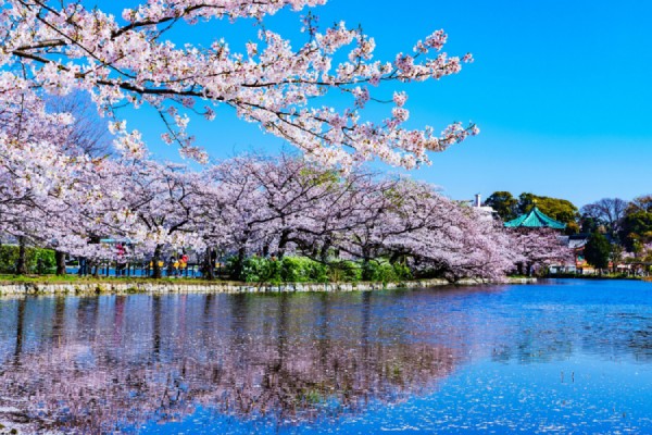 Ueno là công viên đầu tiên, cũng như lớn nhất tại Nhật Bản