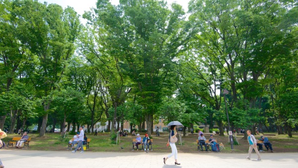Tản bộ là hoạt động thường diễn ra tại công viên Ueno