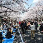 Không khí lễ hội đầu năm tại công viên Ueno Nhật Bản