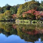 Công viên Oike sở hữu hàng cây bạch dương xanh thẩm trải dài