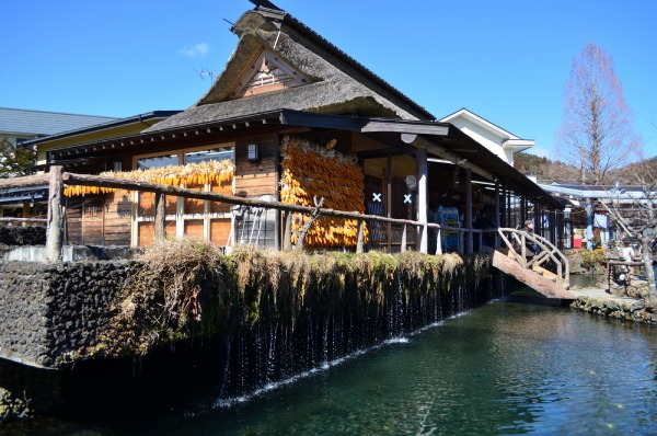 Bảo tàng Hannoki Bayashi Shiryokan sở hữu hồ nước trong xanh Sokonashi