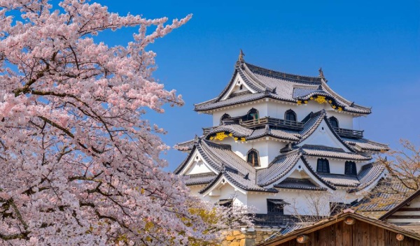 Hikone là một trong những lâu đài Nhật Bản lâu đời còn được gìn giữ