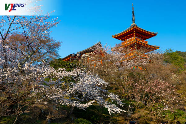 Chùa Thanh Thủy là ngôi chùa cổ đẹp nhất Kyoto