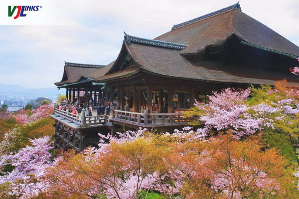Khung cảnh ngôi chùa tuyệt đẹp vào mùa hoa anh đào nở rộ