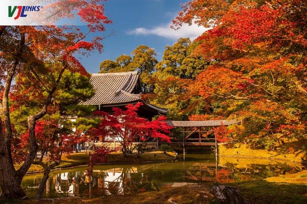 Du lịch Kyoto mùa nào đẹp nhất?
