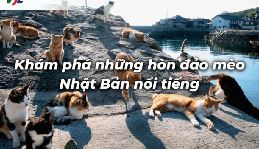 Đảo mèo Nhật Bản