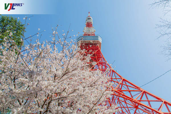 Tháp truyền hình Tokyo Tower là tòa tháp cao thứ 2 ở Nhật Bản