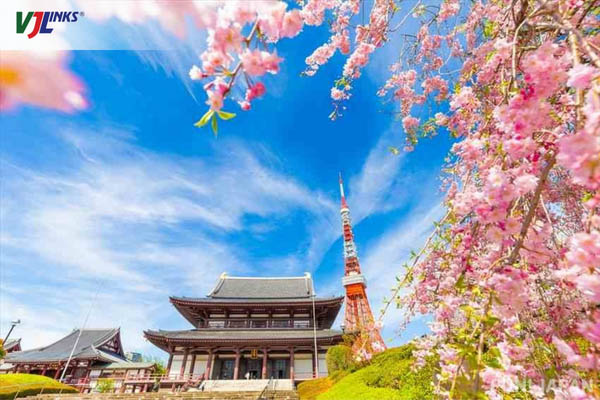 Chùa Zojoji là điểm đến lý tưởng gần tháp Tokyo Tower