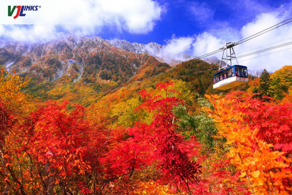 Mùa thu lá đỏ Nhật Bản ở Hokkaido