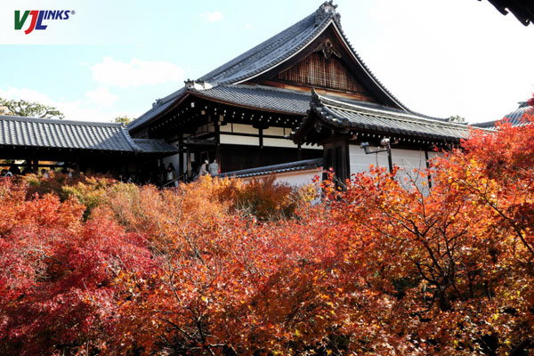 Mùa thu lá đỏ tại ngôi đền Tofukuji, Kyoto