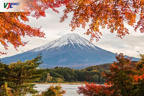 Chiêm ngưỡng mùa lá đỏ Nhật Bản tại Núi Phú Sĩ và Ngũ Hồ