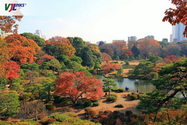 Chiêm ngưỡng mùa lá đỏ ở Nhật tại khu vườn Rikugi-en