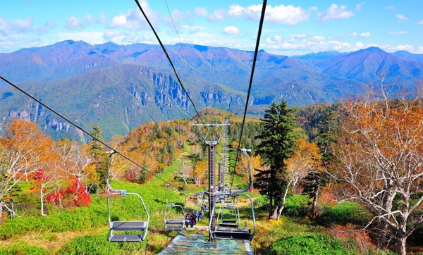 Đường mòn Hokkaido Nature Trail khoác lên mình vẻ đẹp xanh tươi mát của khung cảnh thiên nhiên hùng vĩ