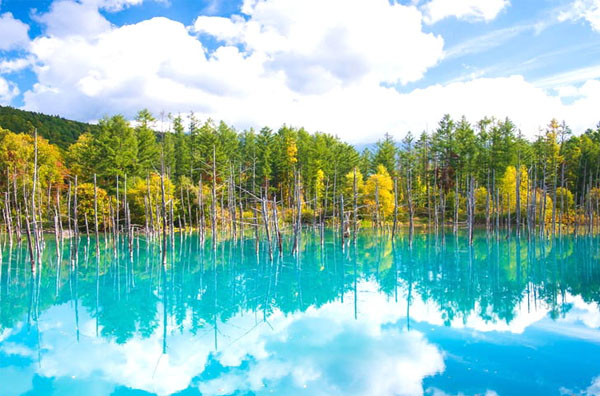 Vẻ đẹp của Hồ Xanh Shirogane biến đổi linh hoạt theo mùa