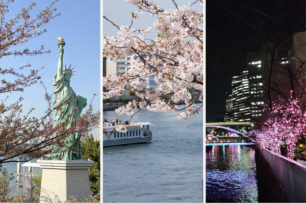 Mùa xuân ở Odaiba Tokyo rộn ràng với nhiều lễ hội cùng sắc hoa tươi thắm