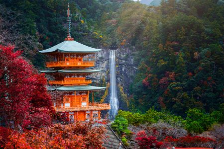 Tuyệt tác mùa thu Nhật Bản: Wakayama – [trekking] Kumano Kodo – Kyoto