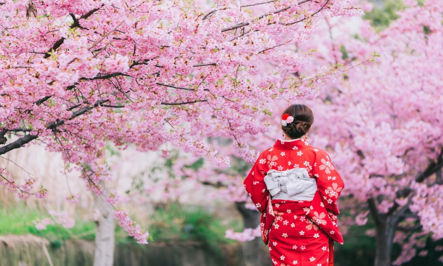 NGÀY 2: CHUBU – SHIZUOKA – YAMANASHI  	(Ăn sáng trên máy bay/L/D)