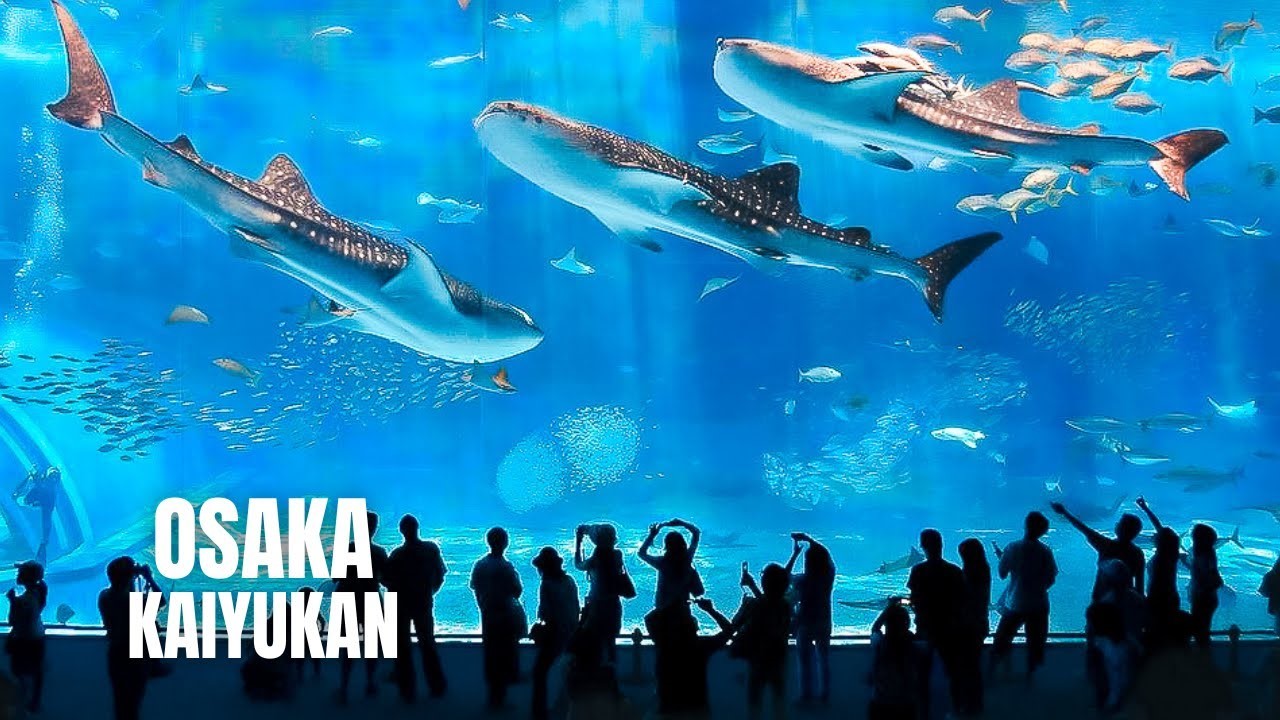 NGÀY 2: KOBE – OSAKA	(Ăn sáng trên máy bay/L/D)
