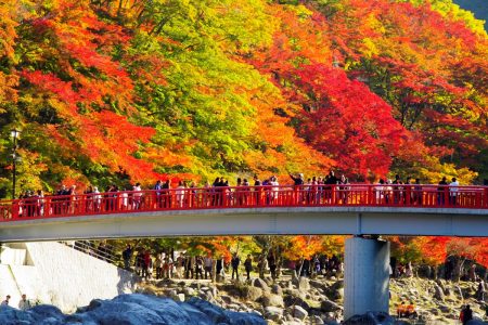 TOUR KOBE – OSAKA – KYOTO – NAGOYA – YAMANASHI – TOKYO [7N6Đ]