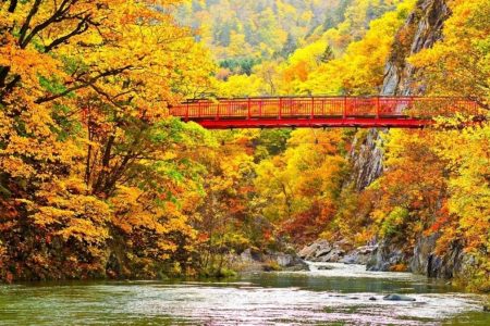 TOUR ASAHIKAWA – BIEI – SAPPORO – NOBORIBETSU [5N4Đ]
