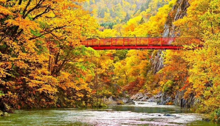 tour-asahikawa-biei-sapporo-noboribetsu