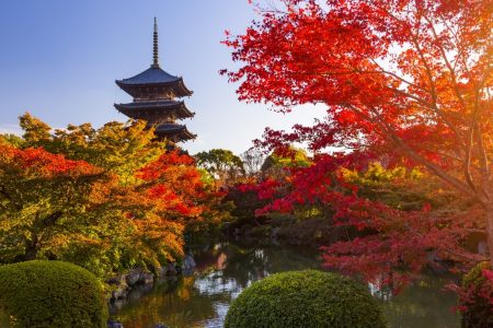 TOUR KOBE – OSAKA – KYOTO – AICHI – YAMANASHI – FUJI – TOKYO [6N5Đ]