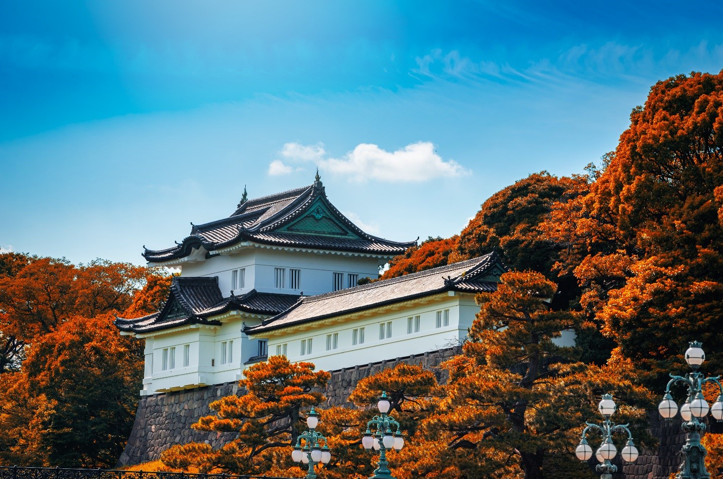 NGÀY 5: TOKYO (City tour) – NARITA	(B/L/D)