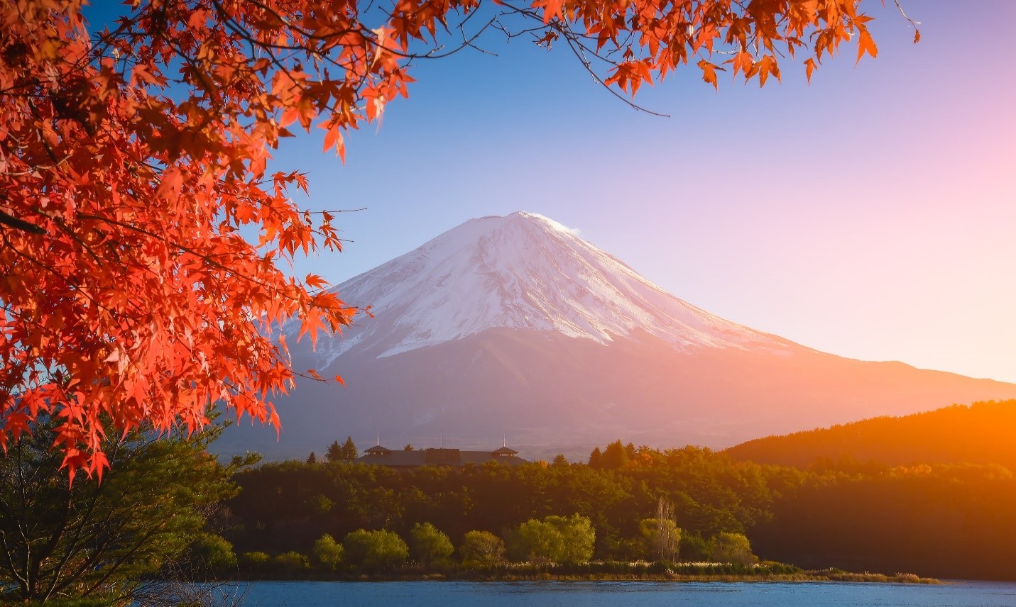 NGÀY 3: YAMANASHI – TOKYO	(B/L/D)