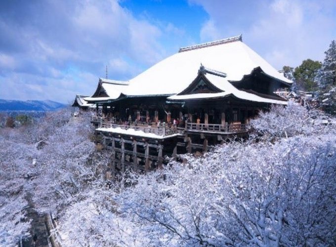 Chuyên tour Nhật Bản