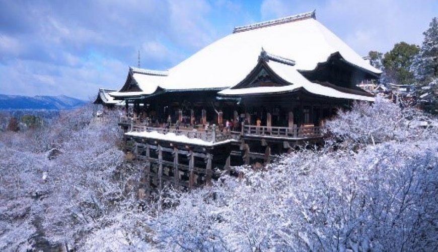 Chuyên tour Nhật Bản