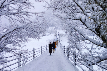 TOUR SHIRAKAWAGO – YAMANASHI – SAITAMA – TOKYO [6N5Đ] (VN in NGO)