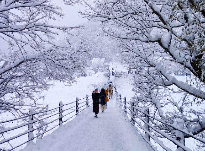 Chuyên tour Nhật Bản