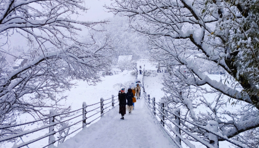 Chuyên tour Nhật Bản