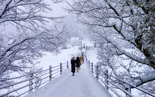NGÀY 2: NAGOYA – SHIRAKAWAGO – NAGANO	(Ăn trên máy bay/L/D)