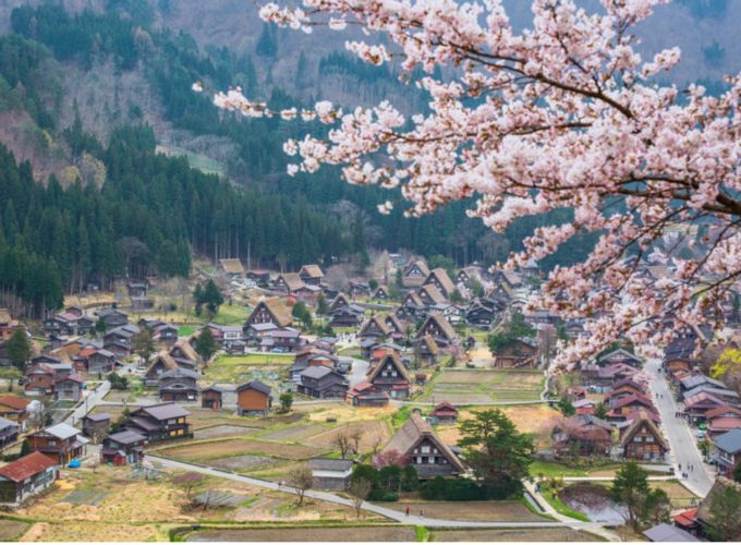 Chuyên tour Nhật Bản