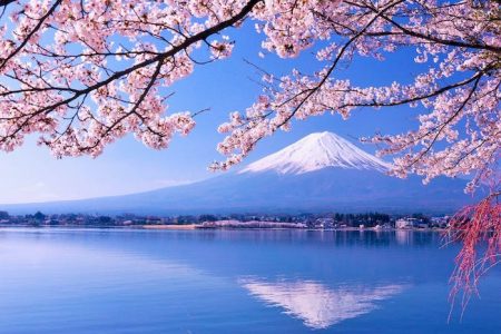 TOUR YAMANASHI – FUJI – TOKYO – NARITA – FREEDAY [5N4Đ]