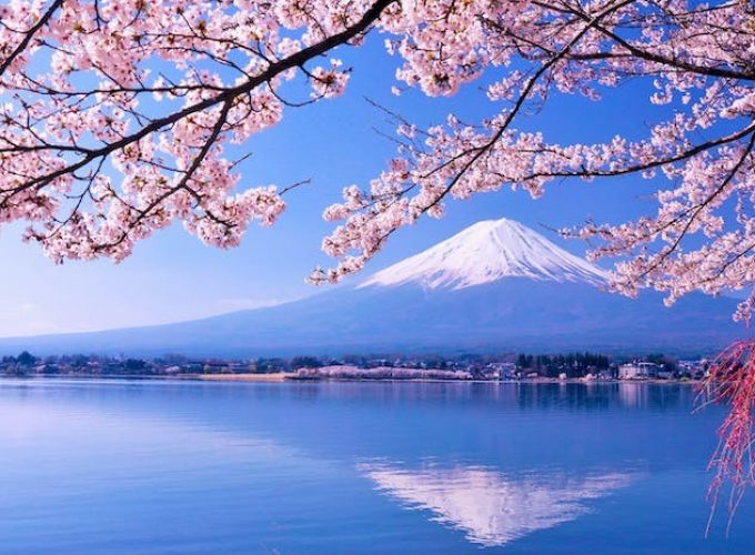 Chuyên tour Nhật Bản