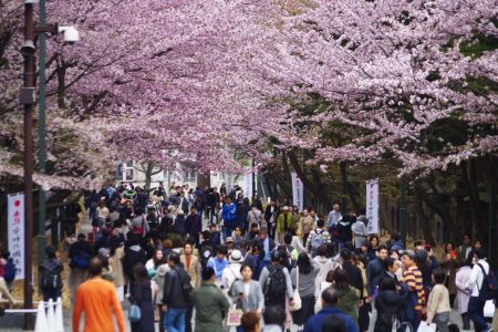 TOUR ASAHIKAWA – BIEI – SAPPORO – NOBORIBETSU [5N5Đ]