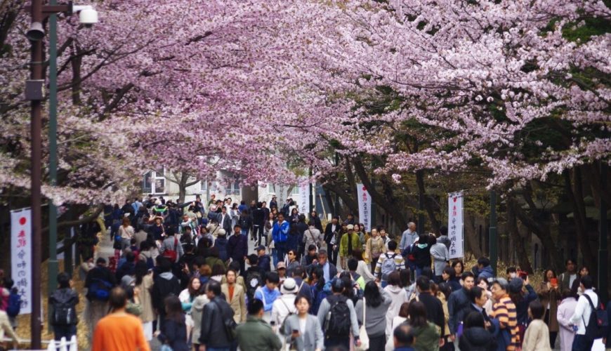 Chuyên tour Nhật Bản